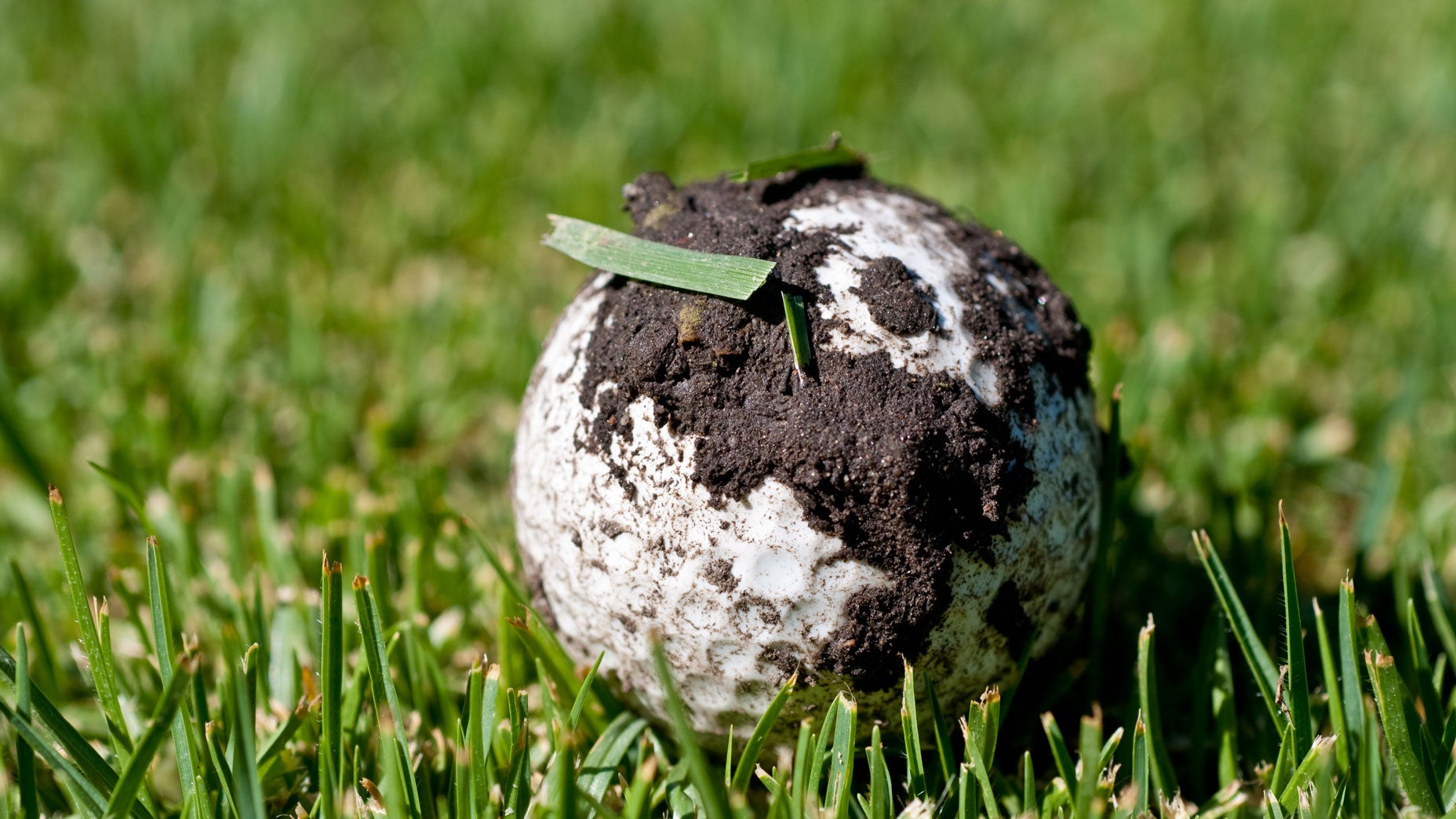 Ball With Mud?  The Official Rules On Cleaning