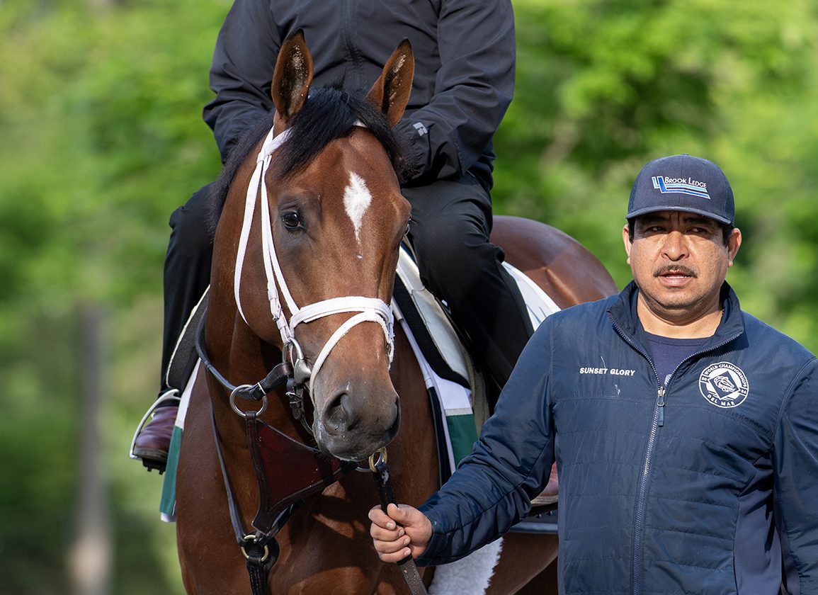 Belmont Stakes: Analyzing The Key Players In The Belmont Stakes: Analyzing The Key Players In The