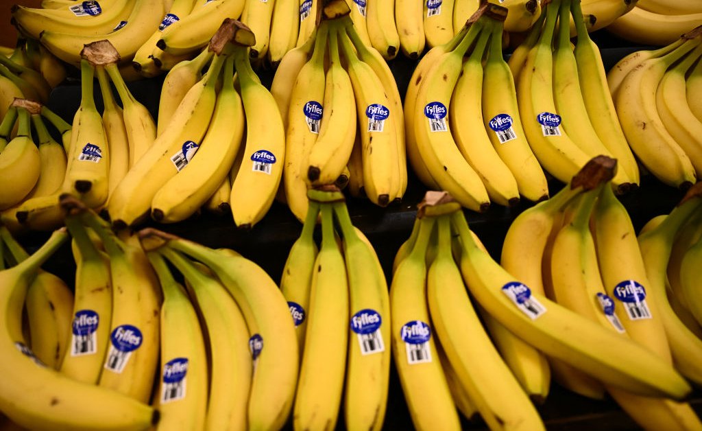Climate Change Threatens Banana Production: What You Need To Know