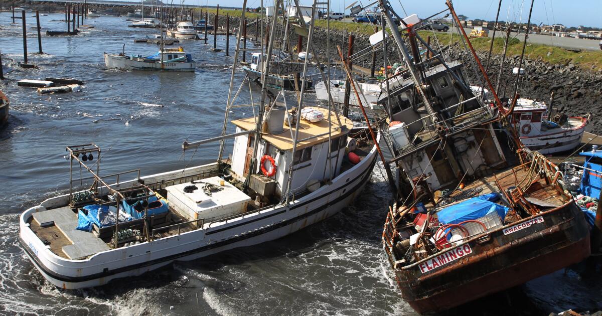 Coastal Communities On High Alert: California Earthquake And Tsunami Danger Coastal Communities On High Alert: California Earthquake And Tsunami Danger