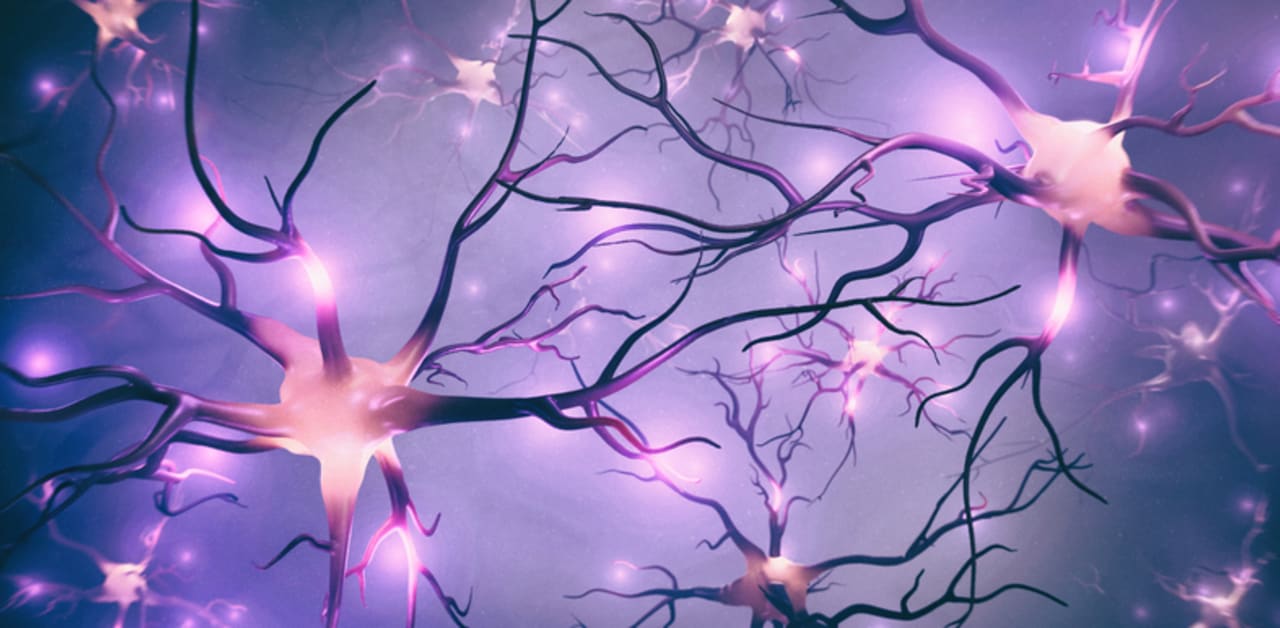Cough Syrup Ingredients And Cognitive Health: A Comprehensive Overview.