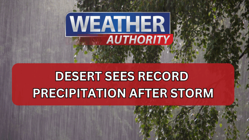 Desert Receives Unprecedented Precipitation Following Severe Storm Desert Receives Unprecedented Precipitation Following Severe Storm