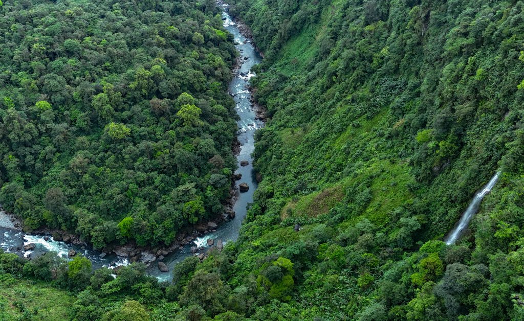 Environmental Activists Face Grave Danger In Latin America: A Disturbing Report Environmental Activists Face Grave Danger In Latin America: A Disturbing Report