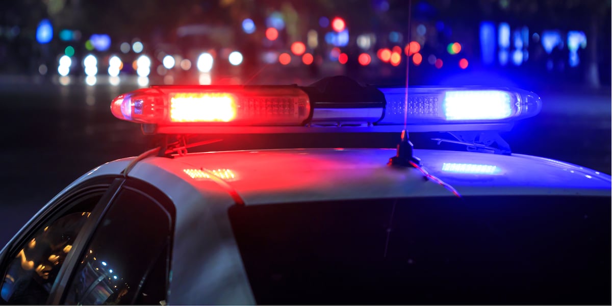 Fatal Horse-Drawn Buggy Crash Leaves One Dead, One Injured Fatal Horse-Drawn Buggy Crash Leaves One Dead, One Injured