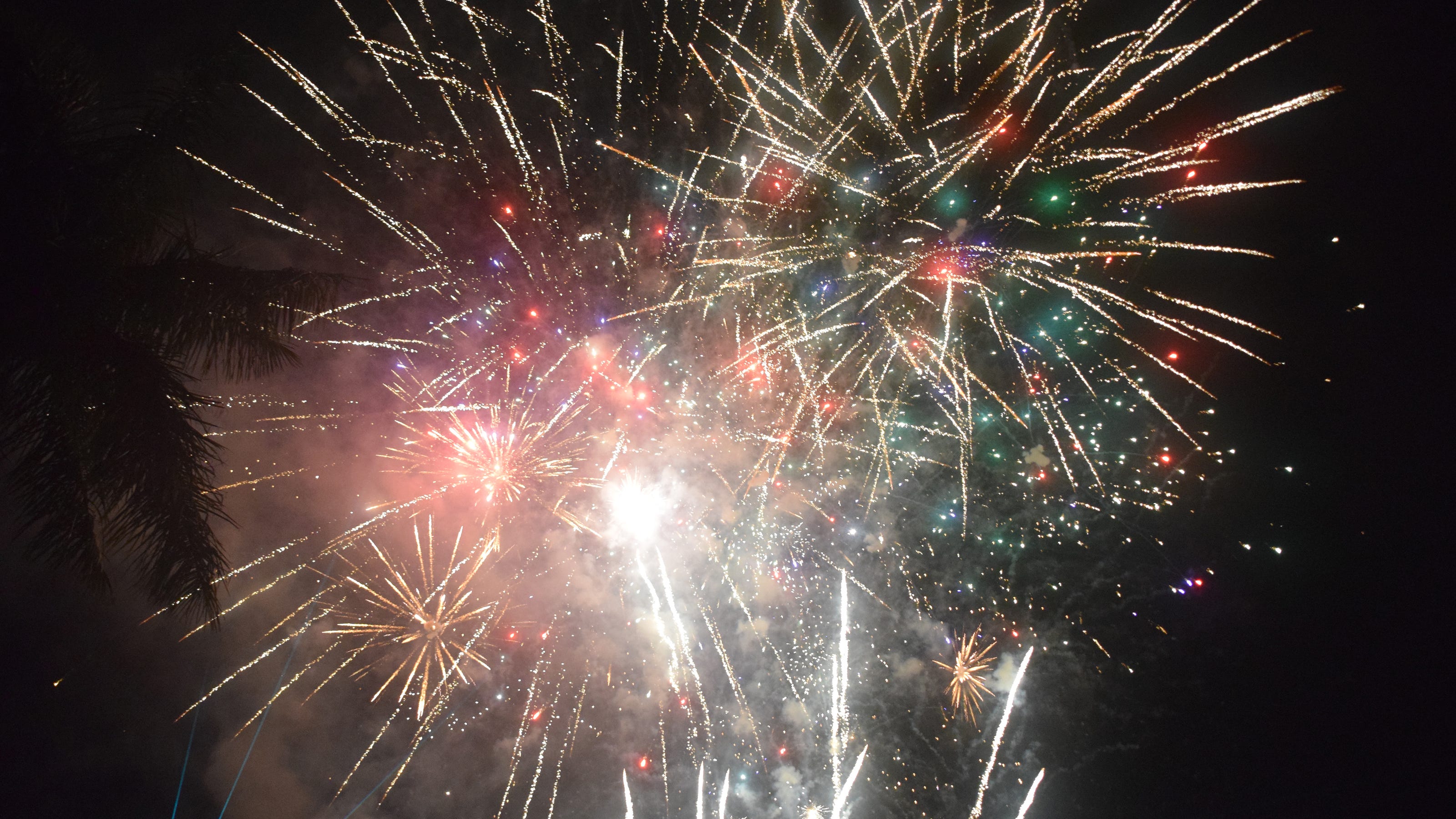 Florida's Fourth Of July Fireworks: Where To Buy And When To Light Them Florida's Fourth Of July Fireworks: Where To Buy And When To Light Them