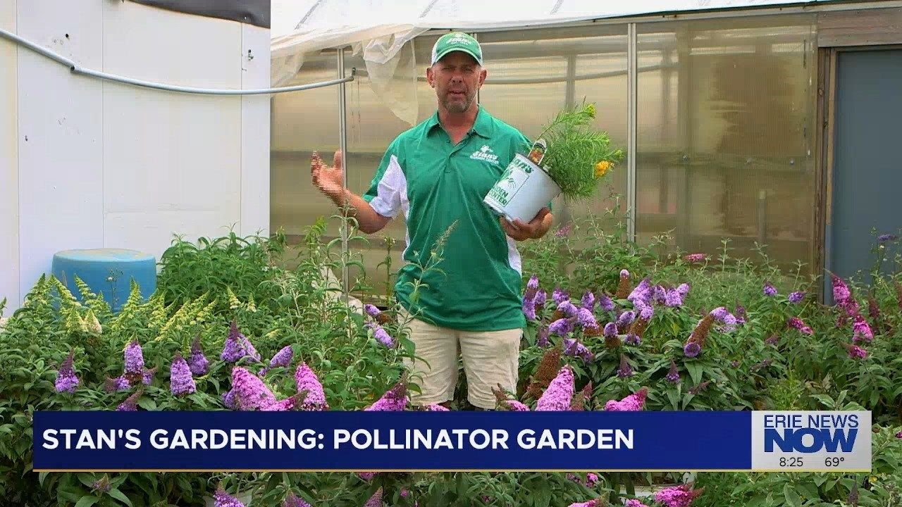 From A To Z:  Stan's Guide To Creating A Thriving Pollinator Garden