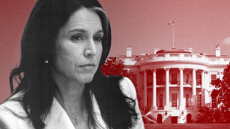 Gabbard's Shifting Stance: A Source Of Friction With Trump's Intelligence Community Gabbard's Shifting Stance: A Source Of Friction With Trump's Intelligence Community