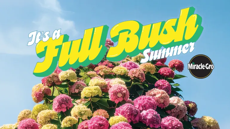 Grow A Full Bush This Summer With Miracle-Gro's New Campaign Grow A Full Bush This Summer With Miracle-Gro's New Campaign