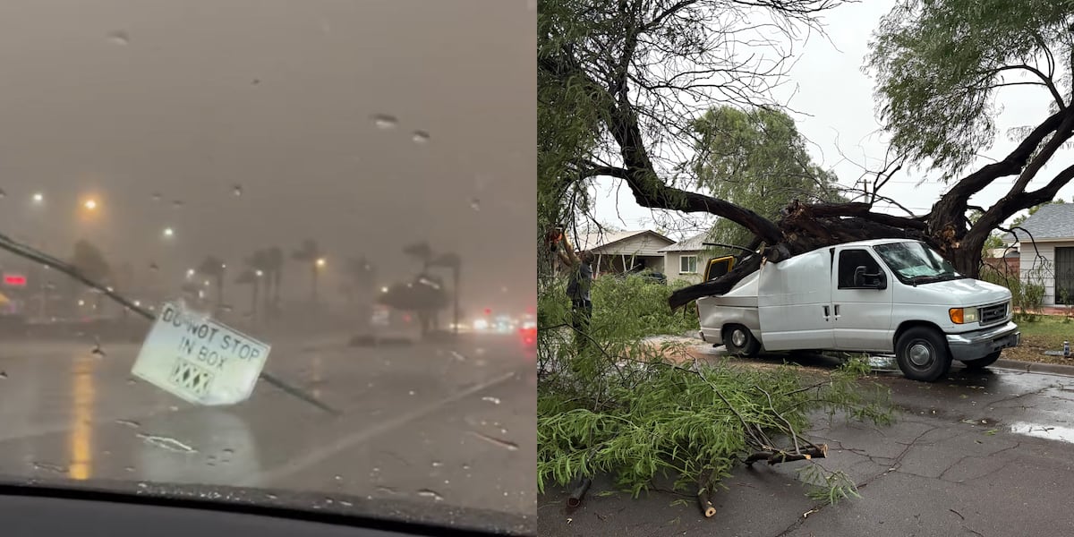 Heavy Rains And Strong Winds: Monsoon Damage Assessment For Sky Harbor, Tempe, And Yuma Heavy Rains And Strong Winds: Monsoon Damage Assessment For Sky Harbor, Tempe, And Yuma