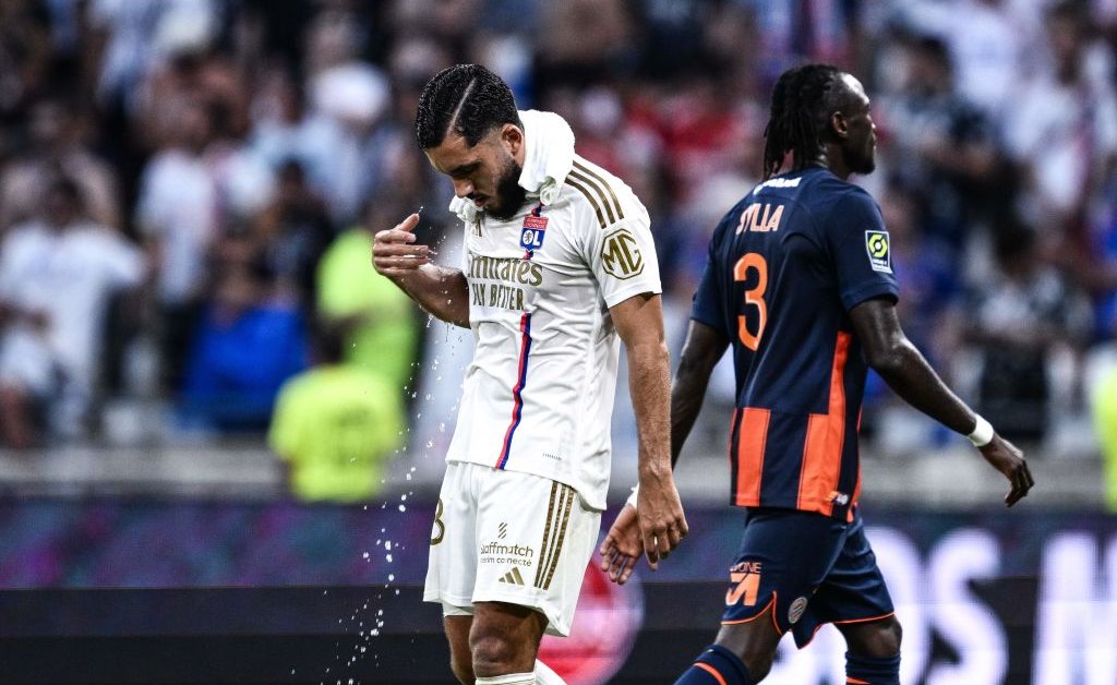 How A New Tool Can Help Sports Organizations Go Green