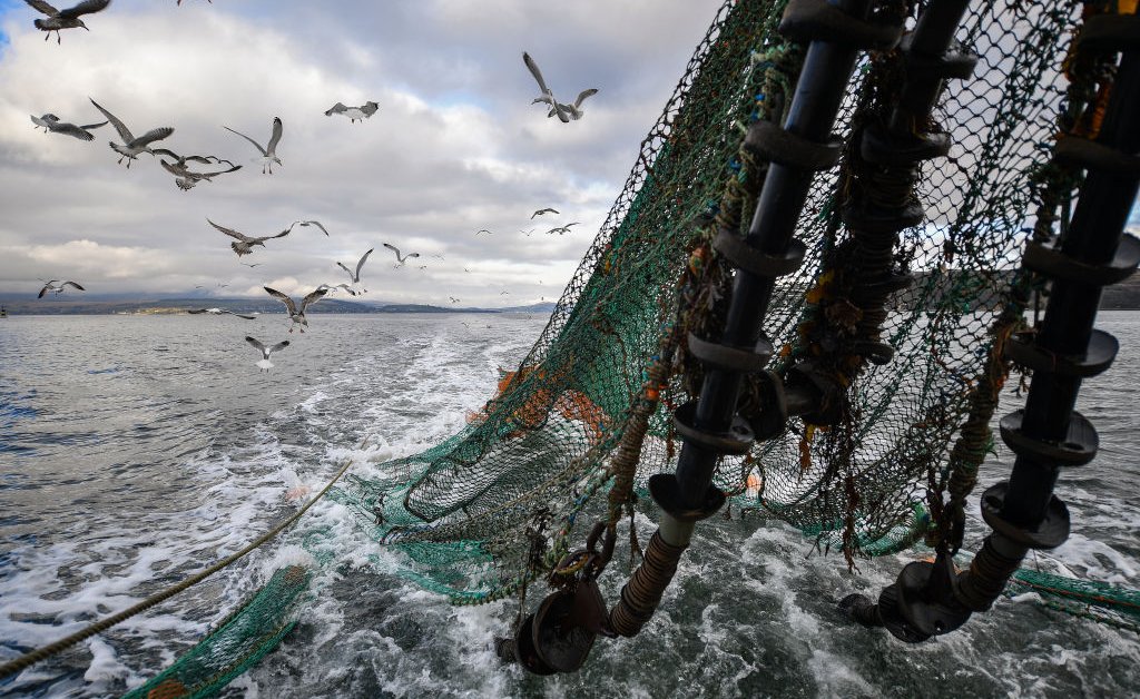 How Artificial Intelligence Is Protecting Our Oceans How Artificial Intelligence Is Protecting Our Oceans