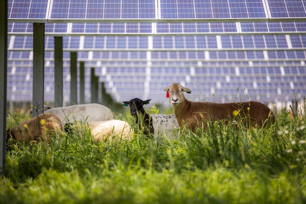 How Energy Investments In Virginia Benefit The Entire Country How Energy Investments In Virginia Benefit The Entire Country