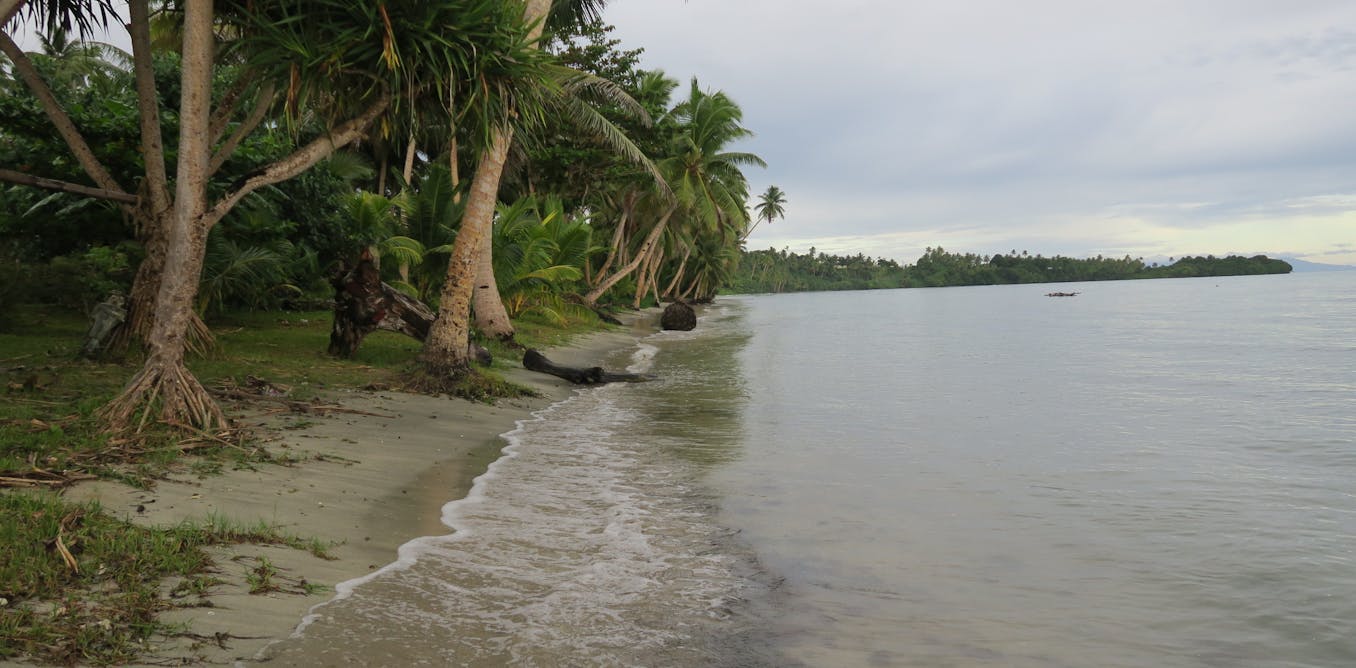 Innovative Solutions: A Fijian Village's Resilience In The Face Of Climate Change Impacts Innovative Solutions: A Fijian Village's Resilience In The Face Of Climate Change Impacts