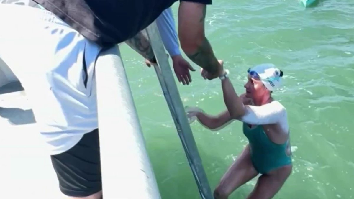 Local Swimmer Achieves Historic Farallon Islands-Golden Gate Bridge Swim Local Swimmer Achieves Historic Farallon Islands-Golden Gate Bridge Swim
