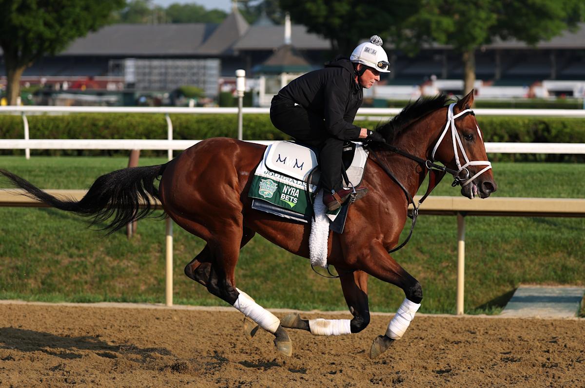 Meet The Horses Vying For Belmont Stakes Victory