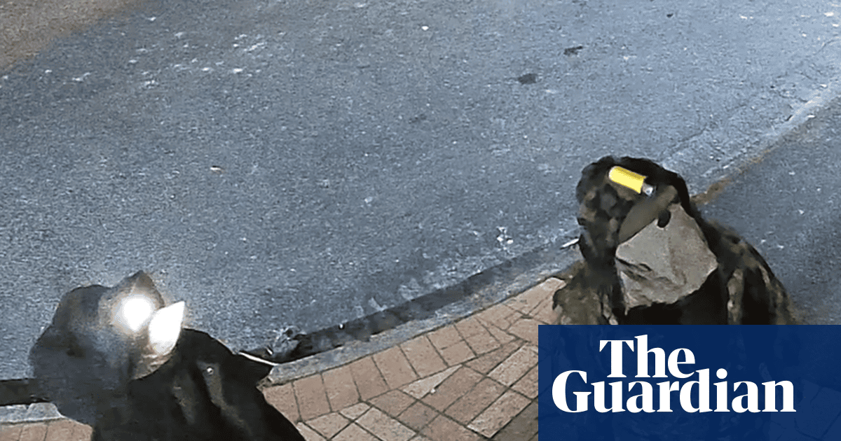 Police Locate New Zealand Fugitive And Child Via CCTV Footage After Extensive Search Police Locate New Zealand Fugitive And Child Via CCTV Footage After Extensive Search