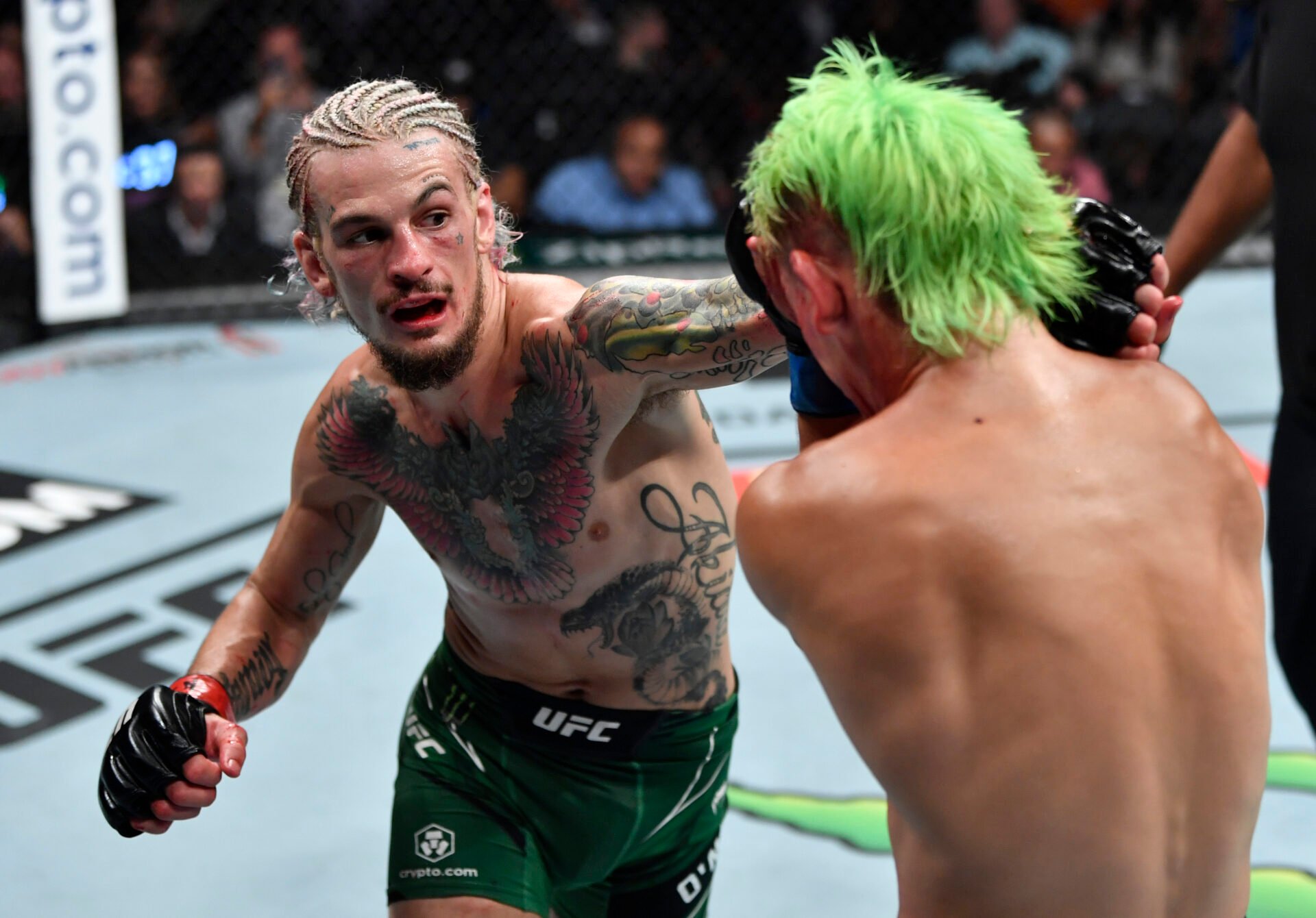 Sean O'Malley's Past Opponent, Labeled A Sean O'Malley's Past Opponent, Labeled A