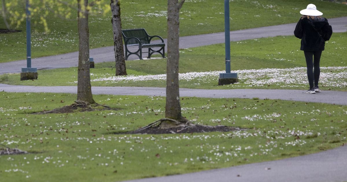 Seattle Weather Update: Dry Spell Over, Rain Expected Seattle Weather Update: Dry Spell Over, Rain Expected