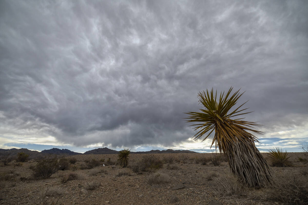 September Storms: Will Monsoon Moisture Reach The Las Vegas Valley? September Storms: Will Monsoon Moisture Reach The Las Vegas Valley?