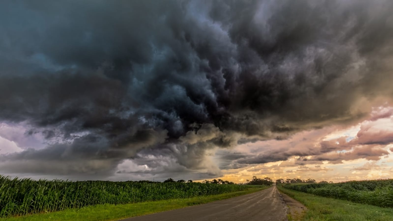 Severe Thunderstorms Expected In St. Louis Today: Latest Weather Updates