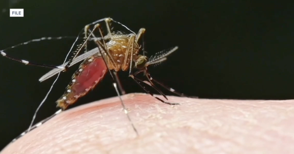 Silent Spread: Infectious Disease Specialist Highlights Undetected West Nile Cases