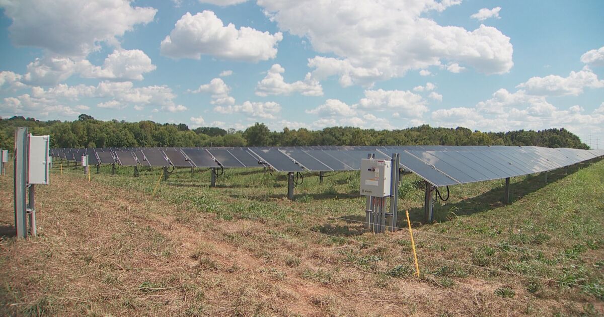 Solar Farm Funding Cuts Spark Debate: Agriculture Vs. Renewable Energy Solar Farm Funding Cuts Spark Debate: Agriculture Vs. Renewable Energy