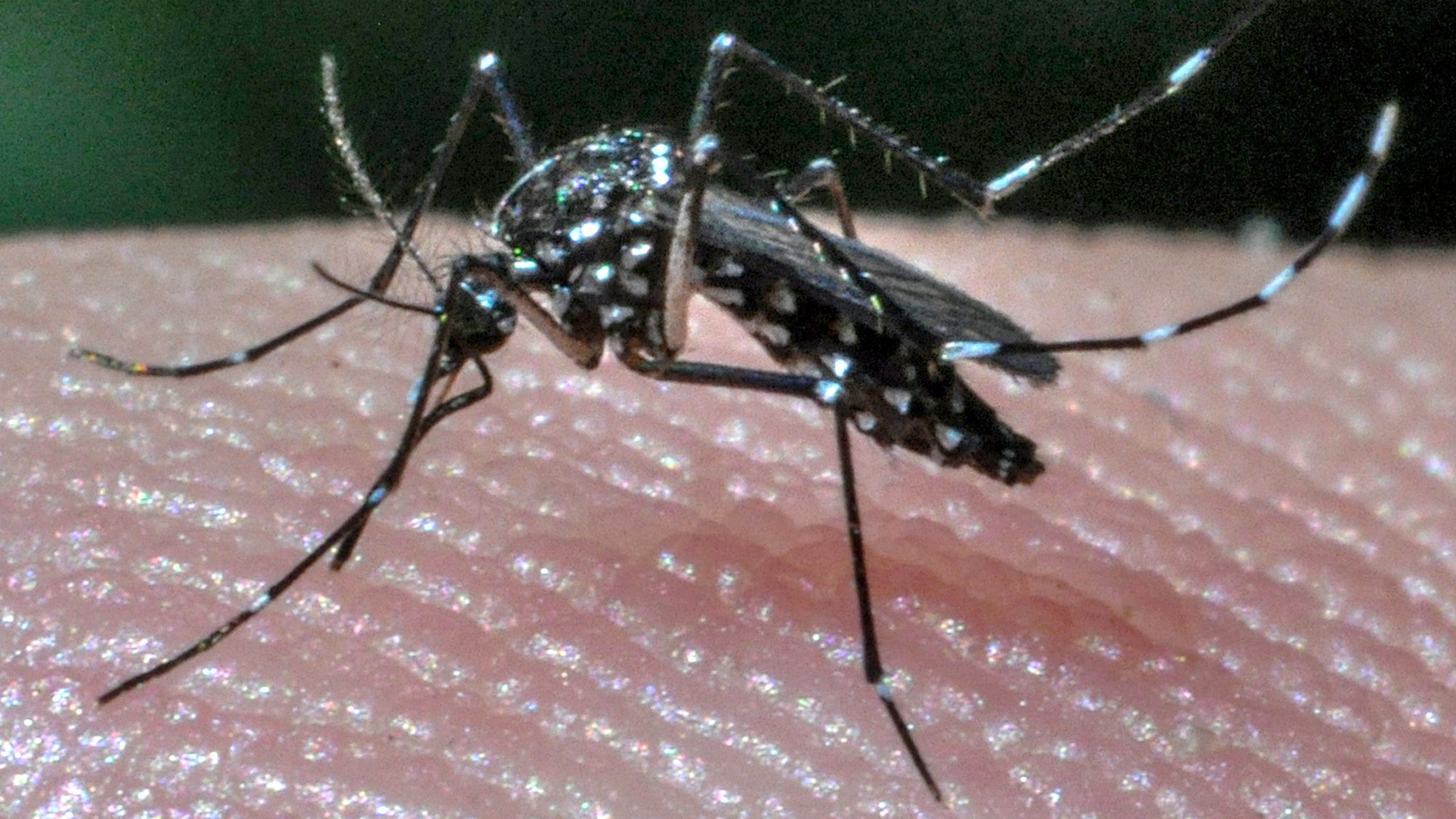 South Dakota Department Of Health Forecasts West Nile Virus Surge