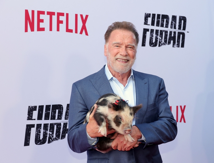 The Terminator And The Governator: Analyzing Arnold Schwarzenegger's Public Image The Terminator And The Governator: Analyzing Arnold Schwarzenegger's Public Image