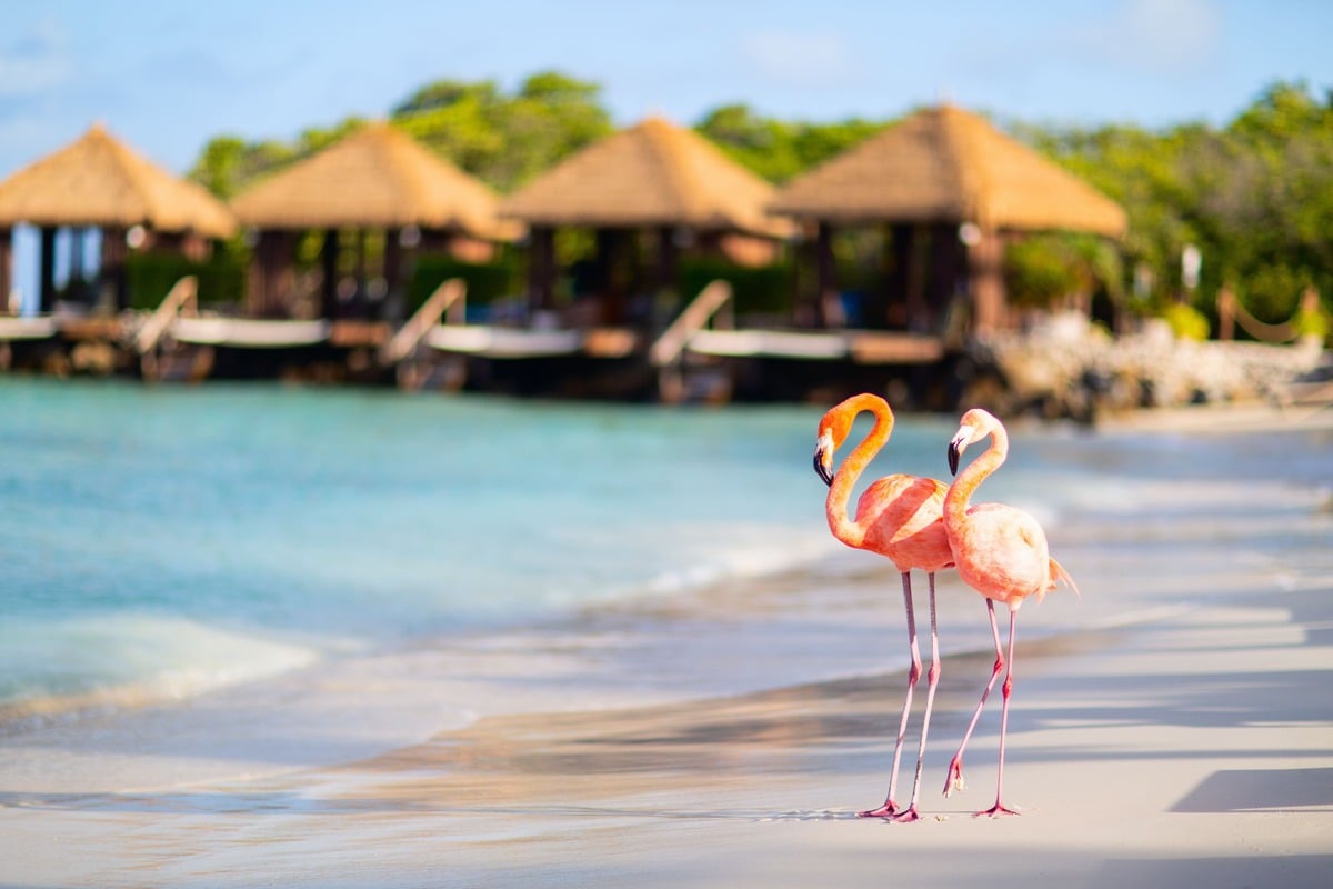 Top Caribbean Destination For Safety: A Comprehensive Travel Advisory Top Caribbean Destination For Safety: A Comprehensive Travel Advisory