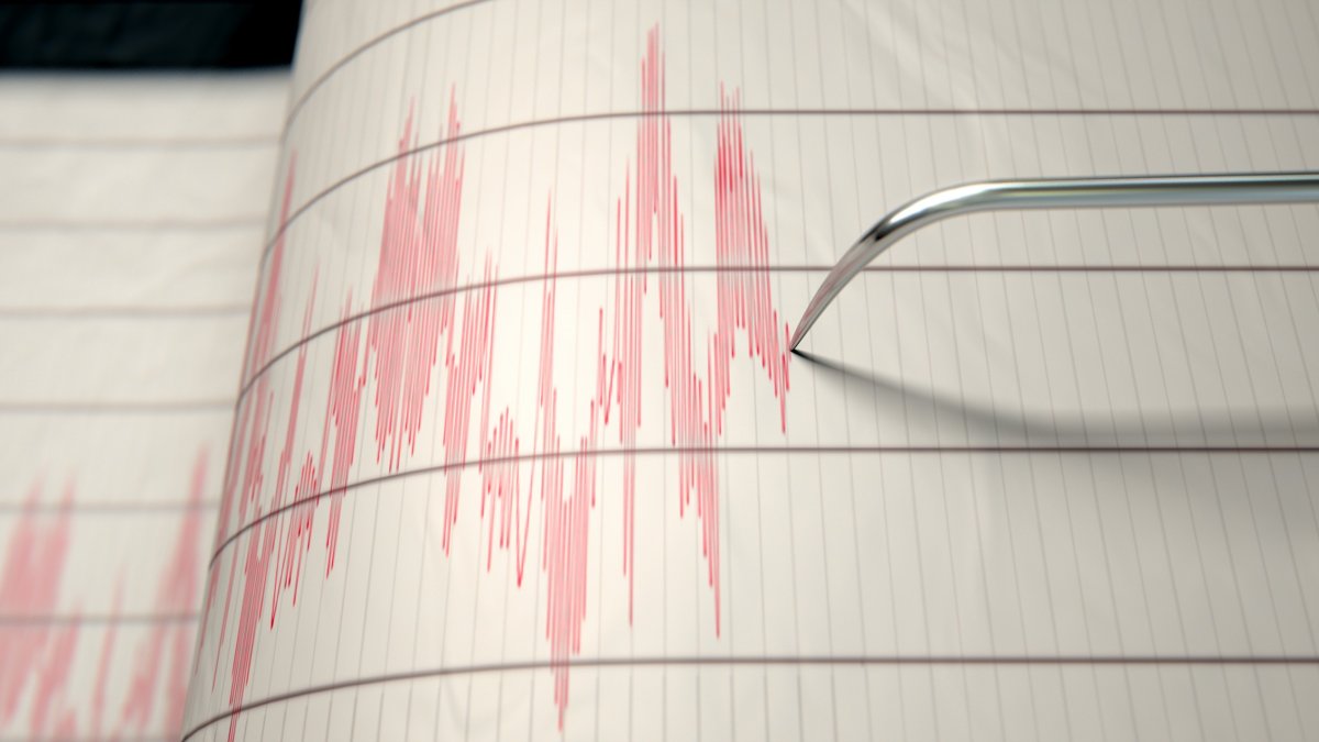 Tremors In LA: 2.5 Magnitude Earthquake Shakes City