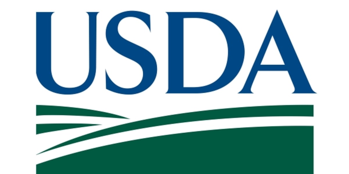 USDA Beef Jerky Recall: Misbranding And Undeclared Allergen Warning