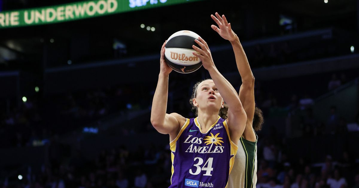 WNBA Roster Move: Los Angeles Sparks Part Ways With Recently Signed Guard WNBA Roster Move: Los Angeles Sparks Part Ways With Recently Signed Guard